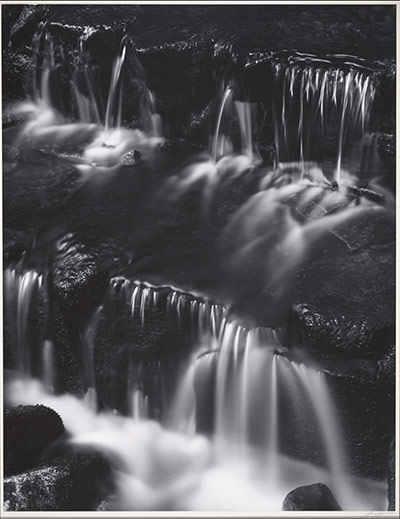 Ansel Adams: Ansel Adams: Fern Spring, Dusk, Yosemite Valley