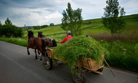 Farmer, Miklosvar