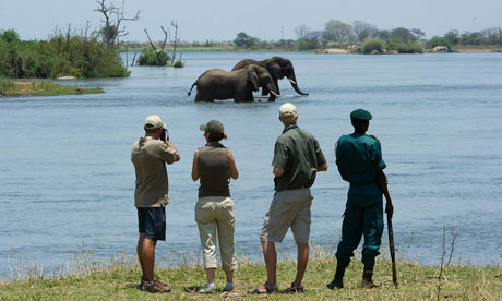 Elephants in the Majete reserve, Malawi