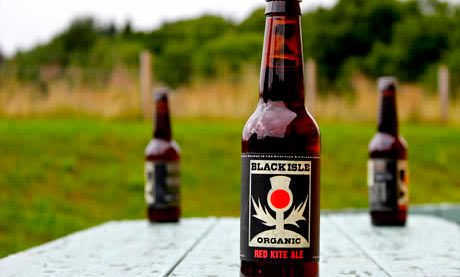 Black Isle Red Kite beer