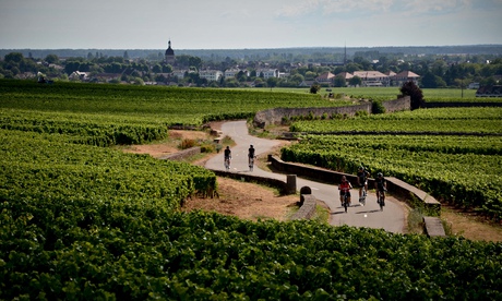 Hungry Cyclist, Burgundy