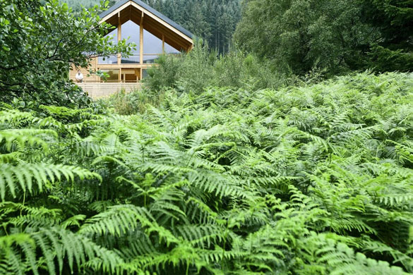 2010 destinations: Forest Cabins, Strathyre, Scotland