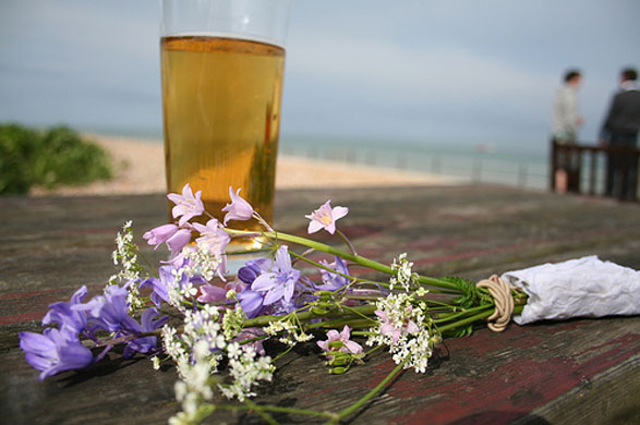 Staycation 4: Bluebells and pinkbells