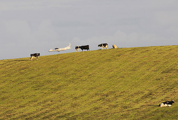 Staycation 4: Billtown, Isle of Man