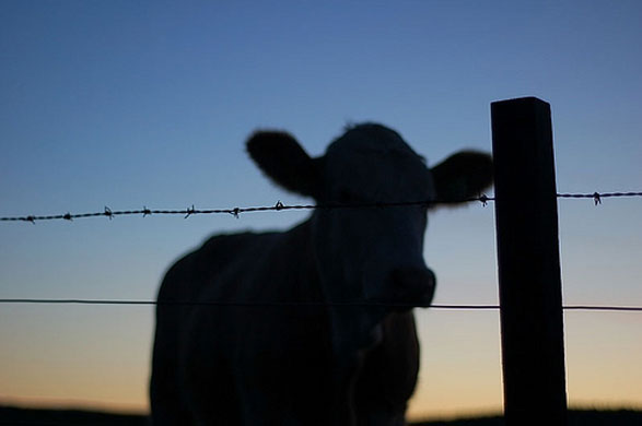 Staycation 4: Inverurie, Scotland