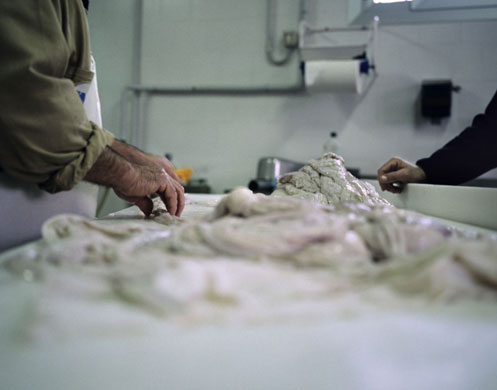 Pumpkin power in Lombardy: Mantua pasta