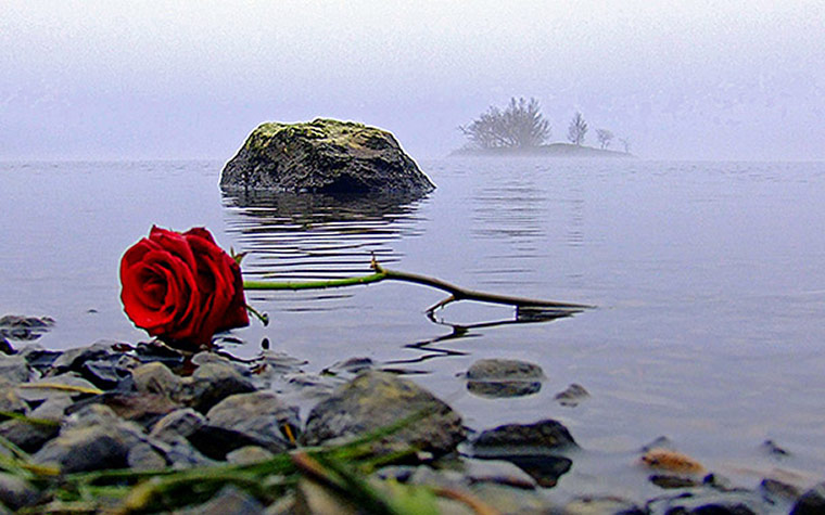 Been there red comp: Rose, Buttermere in the Lake District