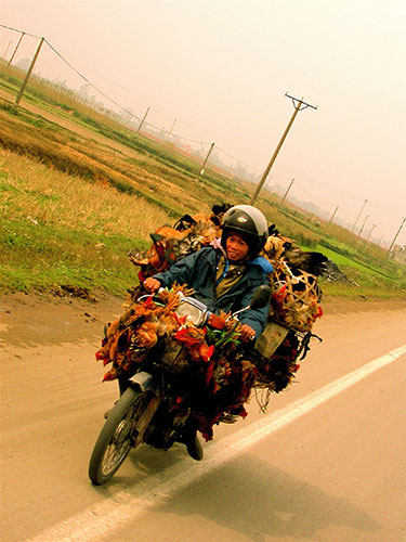Been there May 2010: Chook man, taken in vietnam
