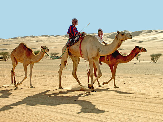 Been there May 2010: Bedouin camel riders