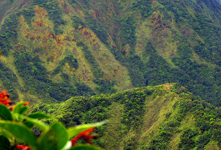 Been there: green: Green: Hikers on Morne Nicholls