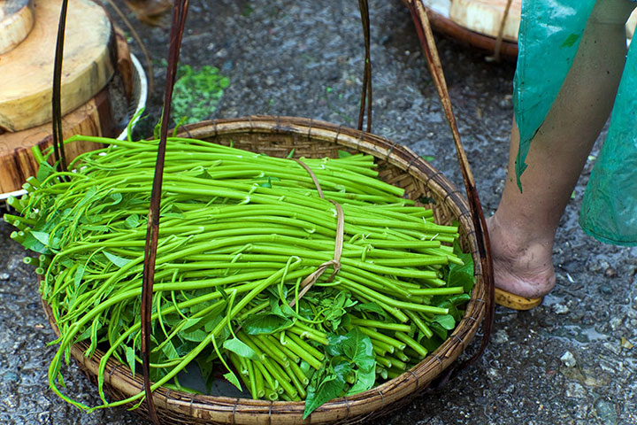 Been there: green: Green: markey Vietnam