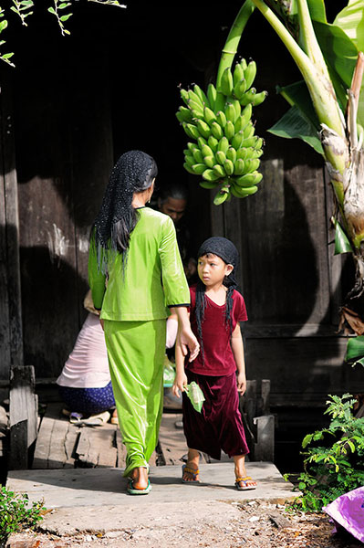 Been there: green: Green: Mekong Delt