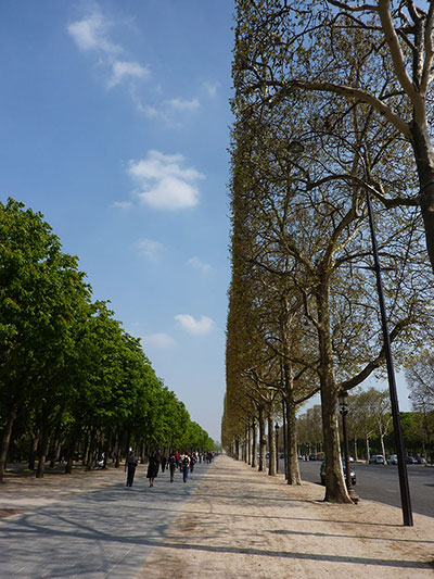 Been there: green: Green: Champs Elysee, Paris