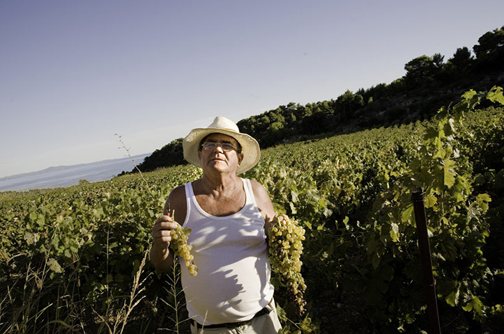 Gemma Arterton in Croatia: Croatia Hvar 5
