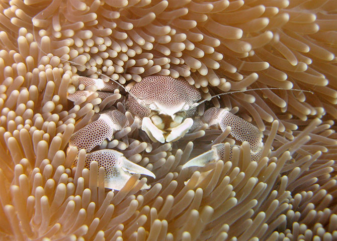 btphotocomp: Matt Hudson