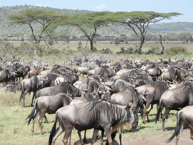 btphotocomp: Ben Walker