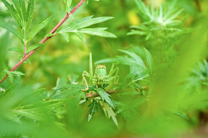 btphotocomp: Paul Kirkham