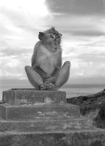 btphotocomp: James Smith