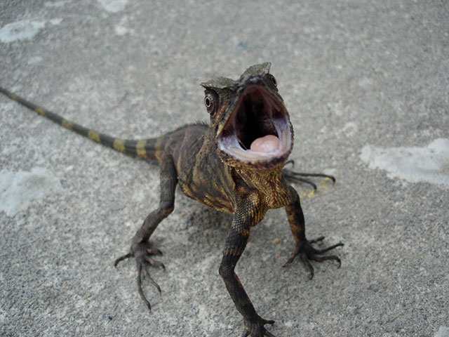 btphotocomp: Matthew Wood