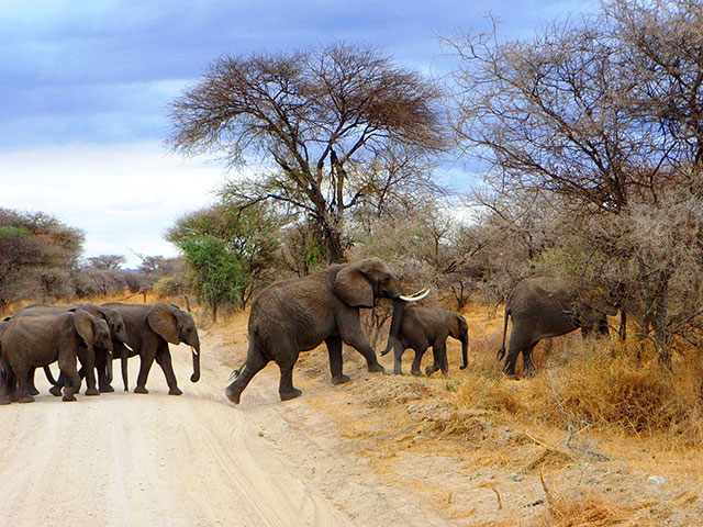 btphotocomp: Miranda Lowe