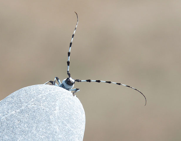 btphotocomp: Julia Derrick