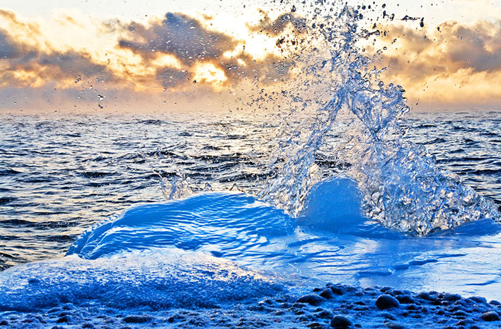 btphotocomp: Daniel Allen