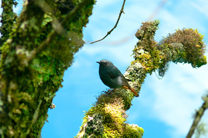 btphotocomp: Marc Perves