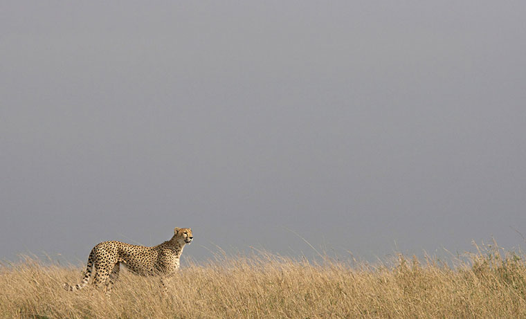 btphotocomp: Ann Moyle