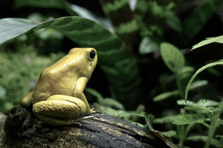 btphotocomp: Luisa Correia