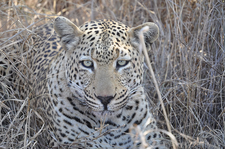 btphotocomp: Sam Rogers