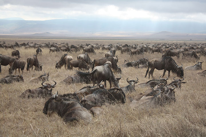 btphotocomp: Tim Evans