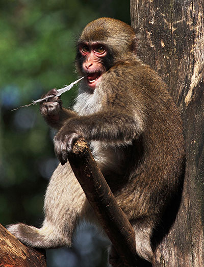 btphotocomp: Arnaud Chevalier