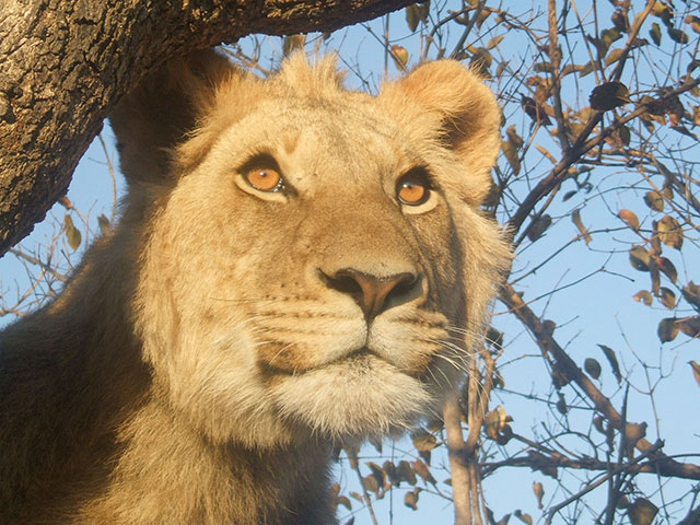 btphotocomp: Catherine Connolly