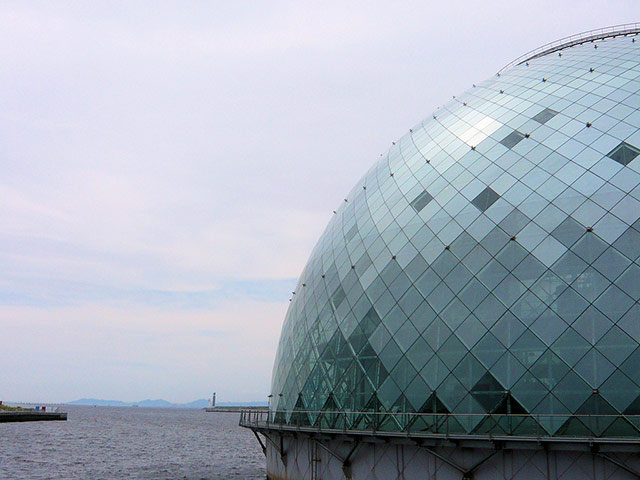 viewfinder: dome