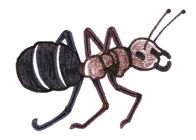 Spotters guide bugs: Wood ant