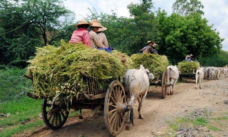 Mondwa, Burma