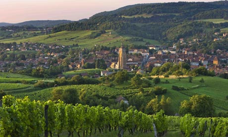 How green is your vallée .... vineyard in the Jura region, France