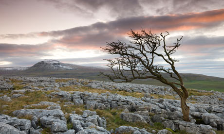 Ingleborough, Yorkshire Dales National Park