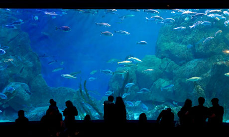 National Marine Aquarium in Plymouth