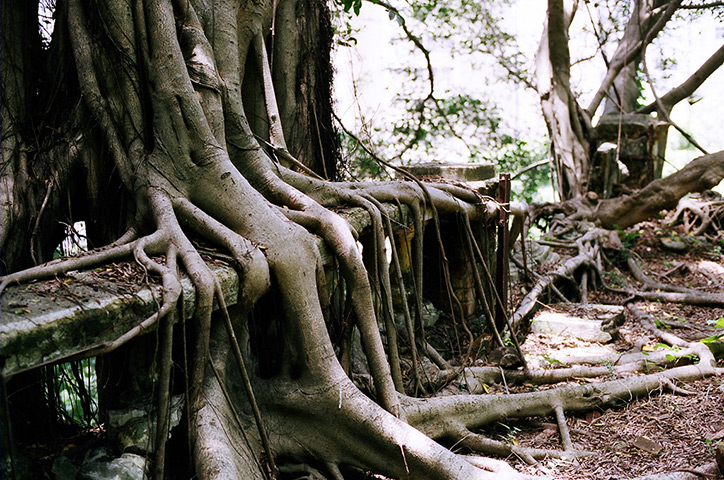Hong Kong photoblogger: Abandoned school