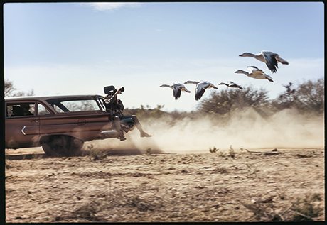 Hanging off the tailgate of a speeding station wagon in Arizona, Des Bartlett films flying snow gees