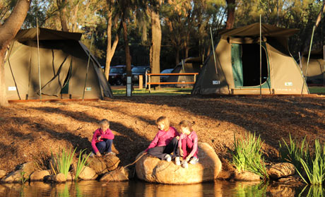 Zoo camping Dubbo, New South Wales