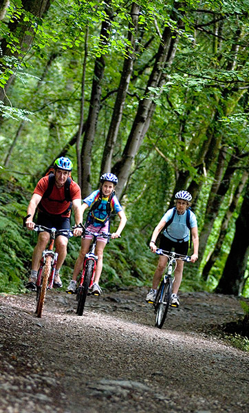 England's forests 2: Group of three cyclists in Grizedale Forest Lake District UK