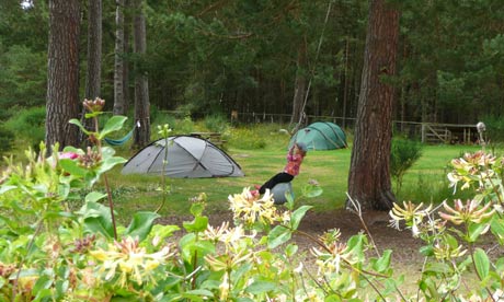 Lazy Duck campsite