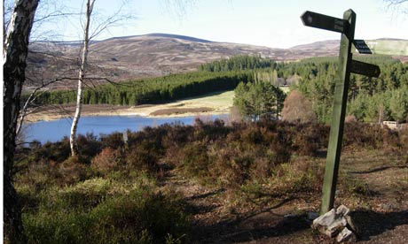 Walking trail around Loch Gynack.