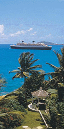 The Caribbean