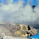 Pohutu geyser, Whakarewarewa, Rotorua