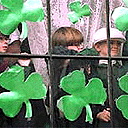 Watching the St Patrick's Day parades in New York
