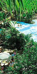 Center Parc