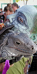 Fantasy Fest, Key West, Florida